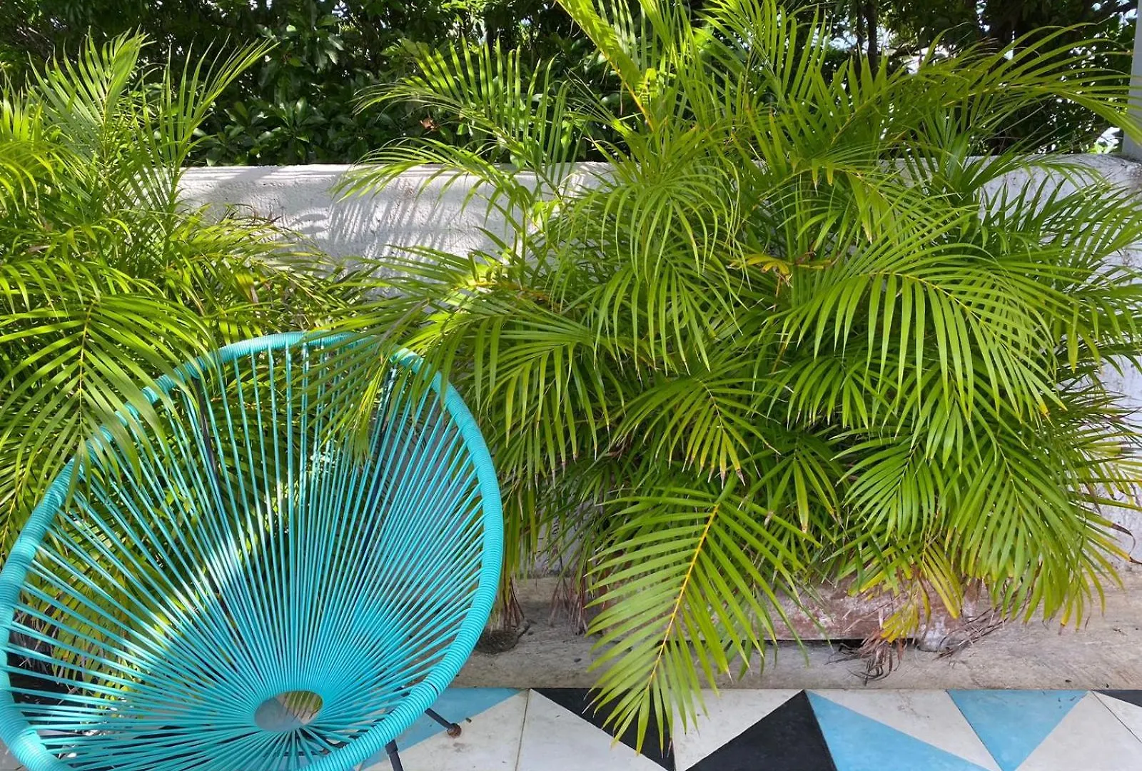 Studios Downtown Cancun Apartment