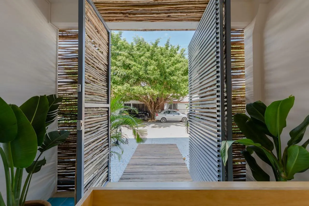 Apartment Studios Downtown Cancun Mexico